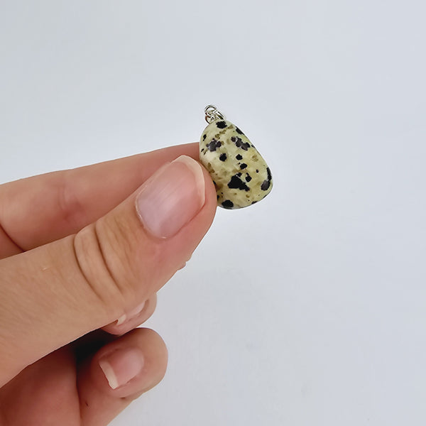 Dalmatiër Jaspis kettinghanger (925 zilver)