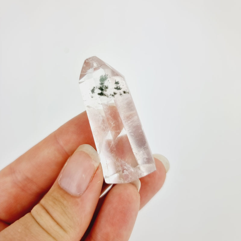 Bergkristal punt met Chloriet