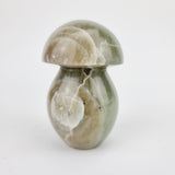 Groene Maansteen mushroom