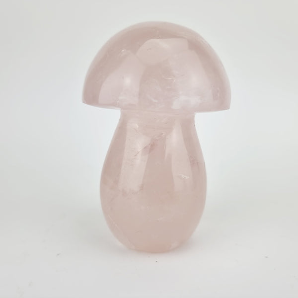 Rozenkwarts mushroom